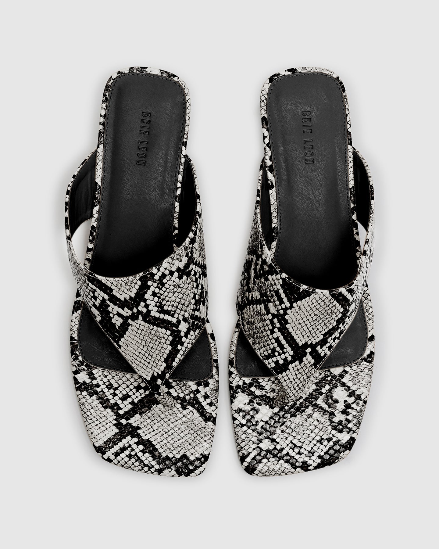 Marcella Heel